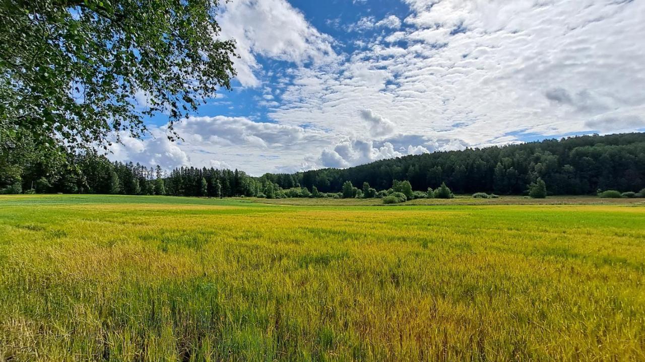 Kullasmarina Holiday Villas Padasjoki Dış mekan fotoğraf